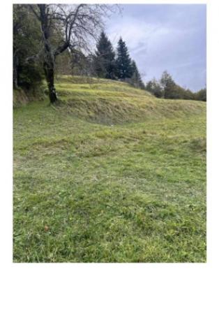 Immobile in asta di 2257 m² in vendita a Torriglia - Foto 4