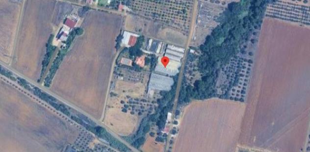 Immobile in asta di 984 m² in vendita a Bernalda - Foto 4