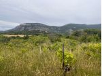 Capaccio Paestum zona collinare terreno agricolo