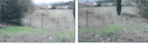 Immobile in asta di 1353 m² in vendita a Castelfiorentino - Foto 14