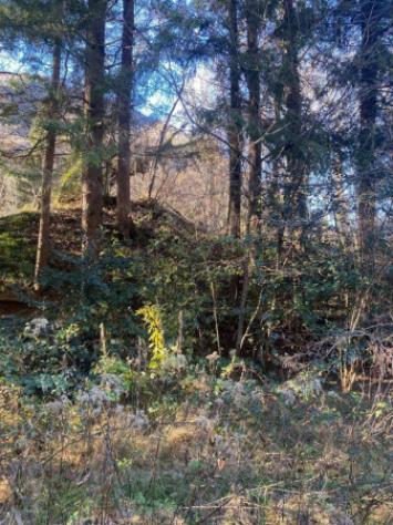 Immobile in asta di 31569 m² in vendita a Valganna