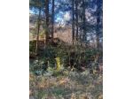Immobile in asta di 31569 m² in vendita a Valganna