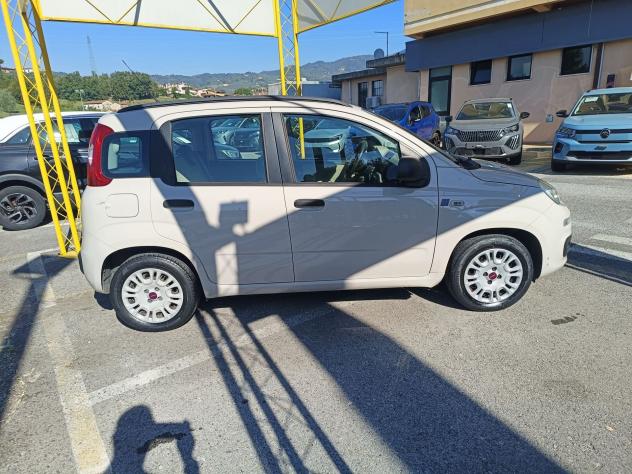FIAT Panda Panda 1.2 Easy 69cv E6 - Foto 5