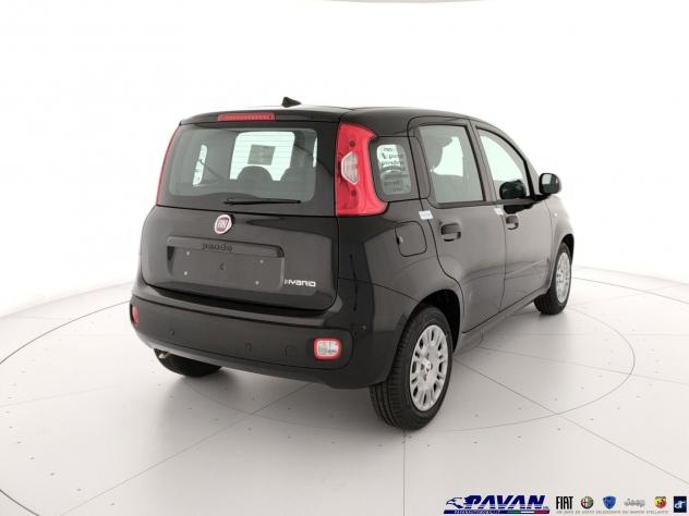 FIAT Pandina Panda 1.0 FireFly 65 CV Hybrid Icon - Foto 3