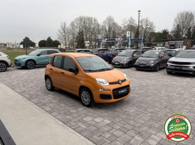 FIAT Panda 1.2 Easy ANCHE PER NEOPATENTATI rif. 23808200 - Foto 4