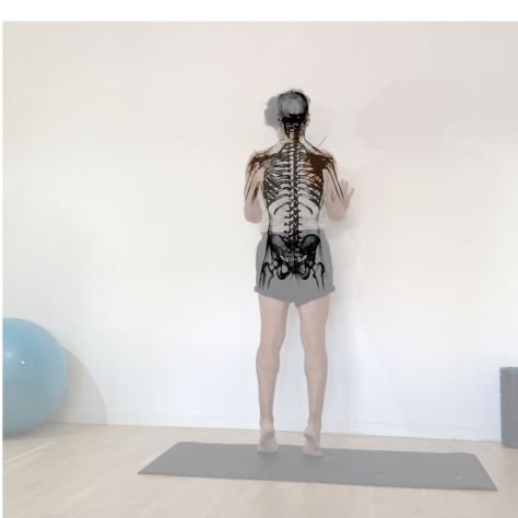 Personal Trainer e Coaching On-Line a Bologna - Foto 4