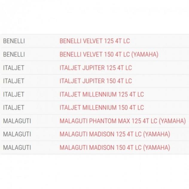 Variatore Malossi Multivar 2000 per scooter motore Minarelli 125 - 5113134 - Foto 2