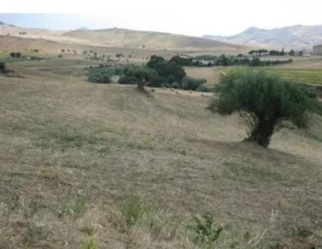 Immobile in asta di 196468 m² in vendita a Enna - Foto 7