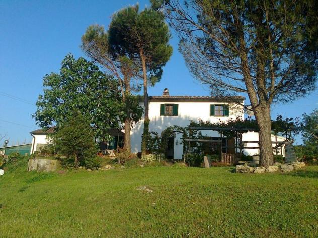 Casale in vendita a Casciana Terme Lari 230 mq Rif: 1331459
