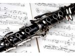 Lezioni private di Clarinetto e Teoria musicale