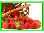 Fragole rifiorenti e rare