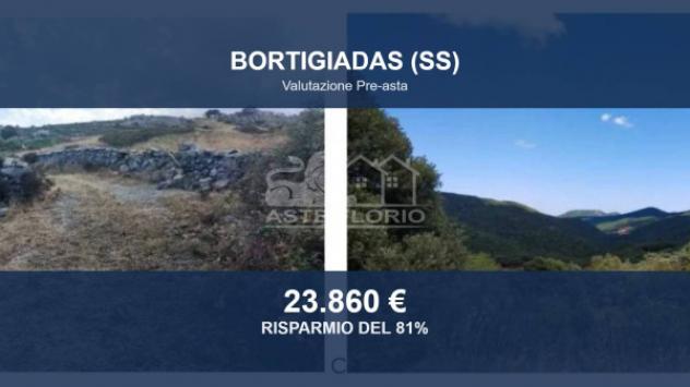 Immobile in asta di 71470 m² in vendita a Bortigiadas