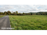 Terreno agricolo in vendita a Cerreto Guidi 10260 mq  Rif: 1405672