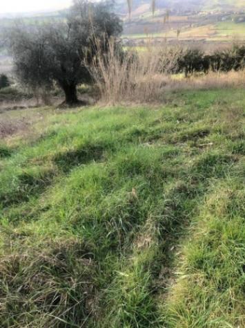 Immobile in asta di 15242 m² in vendita a Gradara - Foto 2