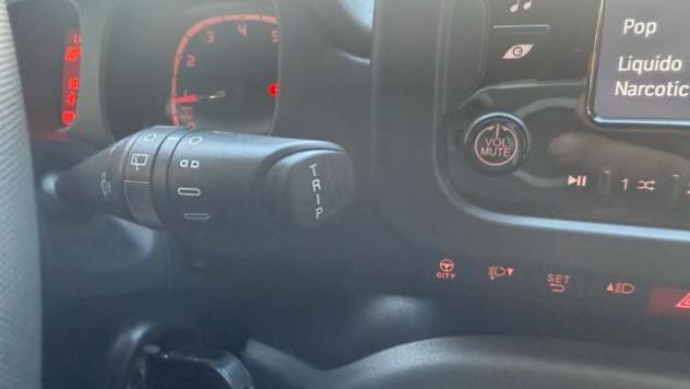 FIAT Panda 1.0 FIREFLY S&S HYBRID CITY LIFE*CLIMA AUTO*TEL# rif. 24116535 - Foto 7