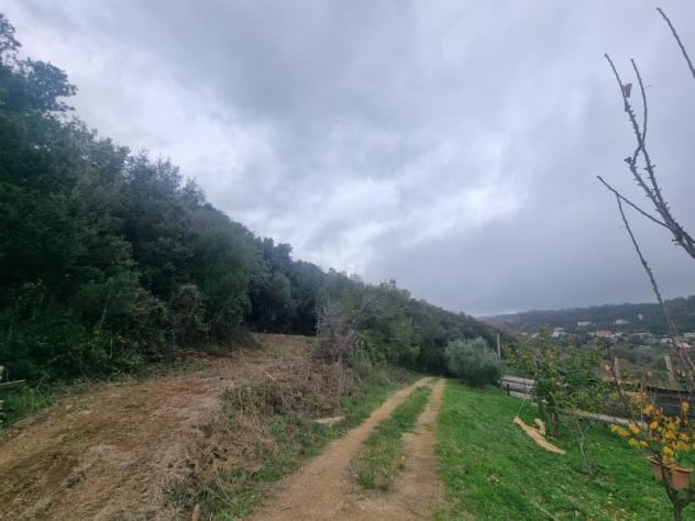 Agricolo in Strada Poggio del Principe - Foto 12