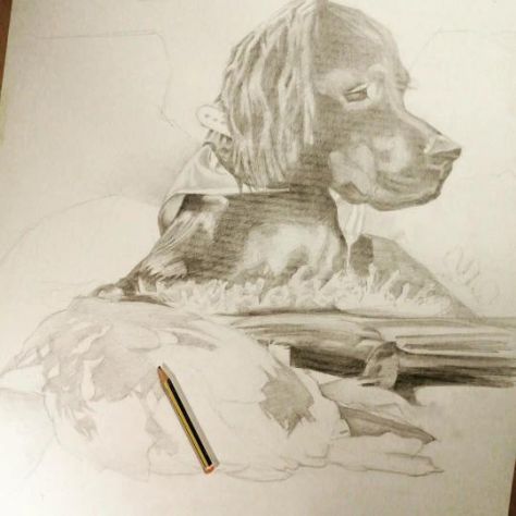 Corso di disegno base