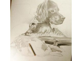 Corso di disegno base