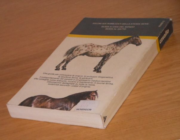guida al cavallo, Maurizio Bongianni, ARNOLDO MONDADORI EDITORE 1984 - Foto 9