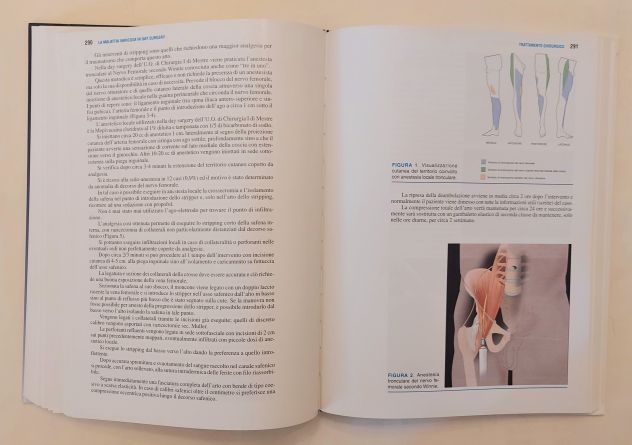 Manuale di Day Surgery con DVD di Vincenzo Pezzangora; Ed.Piccin, 2005 nuovo - Foto 8