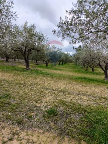 Terreno in vendita a Caltagirone, Santo Pietro - Foto 18