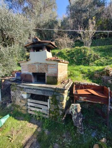 Terreno agricolo in vendita a Vallecchia - Pietrasanta 3000 mq Rif: 1283046 - Foto 4