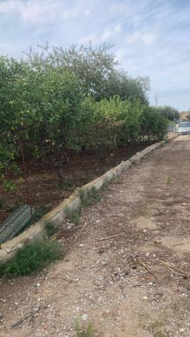 Terreno Agricolo in vendita a Santa Flavia - Foto 14