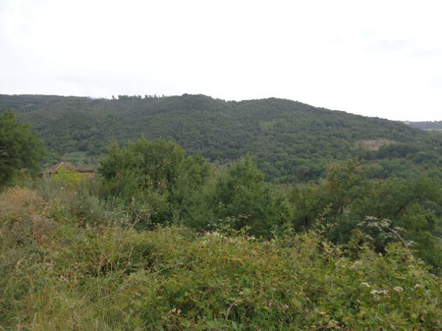 Torchiara-Terreno Con Fabbricato,Ulivi E Ficheto - Foto 4