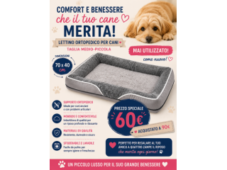 Lettino ortopedico cane