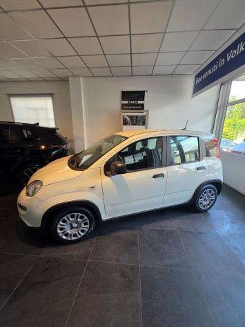 FIAT Panda 3ª serie Panda 1.0 FireFly S&S Hybrid Pandina - Foto 2
