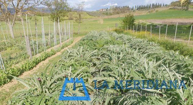Terreno agricolo in vendita a Cerreto Guidi 21500 mq Rif: 1071586 - Foto 3