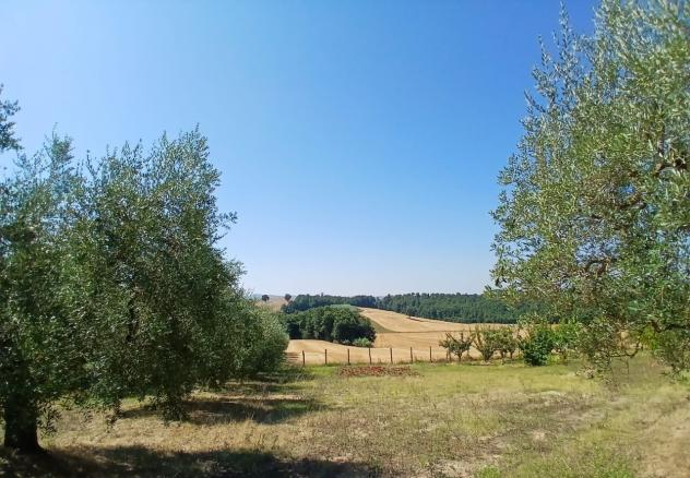 Rustico in vendita a Montecastrilli - Foto 14