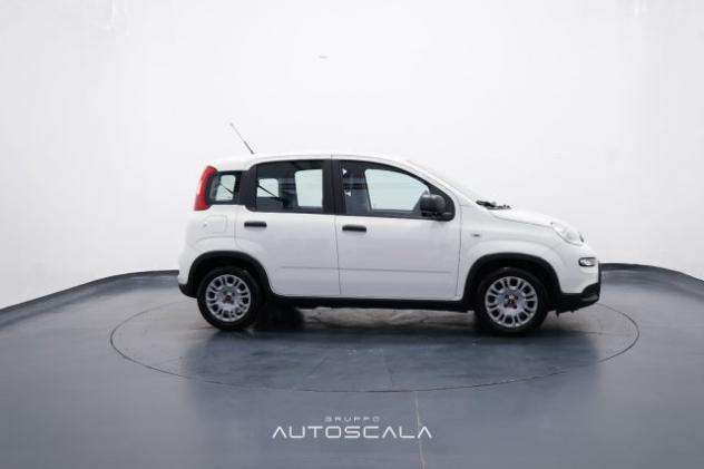 FIAT New Panda 1.0 FireFly 70cv S&S Hybrid rif. 23865446 - Foto 7