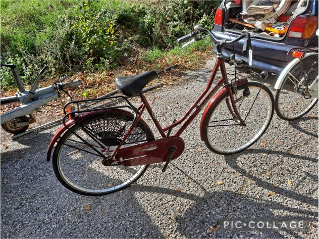 BICI DA DONNA GLOBUS ELEGANT - Foto 2