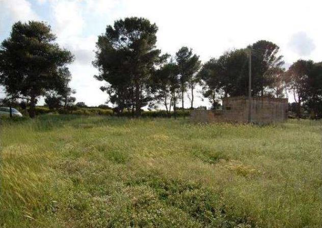 1819 - In vendita a Petrosino ampio terreno - Foto 3