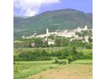 Il Rinascimento Societa' Agricola S.S.