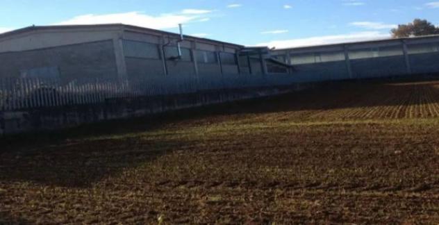 Immobile in asta di 1805 m² in vendita a Ceresole Alba - Foto 7
