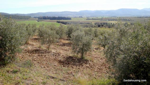 Donori, a 2 km dal paese, complesso agricolo-turistico di recente costruzione - Foto 18