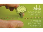 KEY ACCOUNT MANAGER