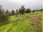 Terreno in vendita a Carlentini