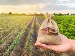 Cesenatico terreno agricolo fronte strada