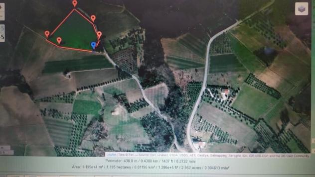 Vigneto in vendita a Miglianico - Foto 4