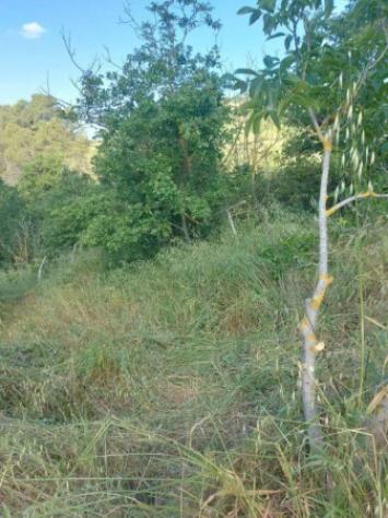Immobile in asta di 2980 m² in vendita a Moscufo - Foto 7