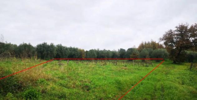 Immobile in asta di 3195 m² in vendita a Roccadaspide - Foto 2