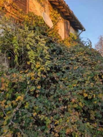Immobile in asta di 411 m² con più di 5 locali in vendita a Cingia de' Botti - Foto 5