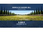 Immobile in asta di 2270 m² in vendita a Borca di Cadore