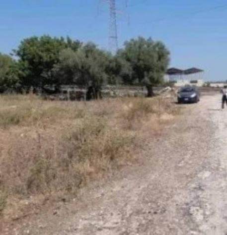 Immobile in asta di 800 m² in vendita a Melilli - Foto 4