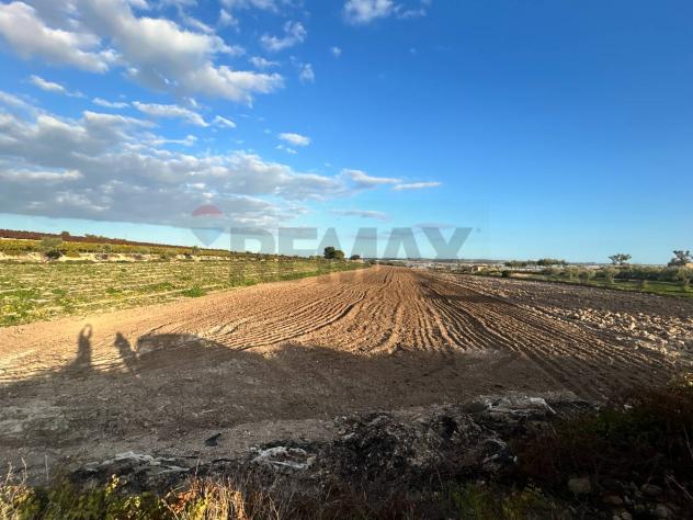 Terreno in vendita a Noto - Foto 10