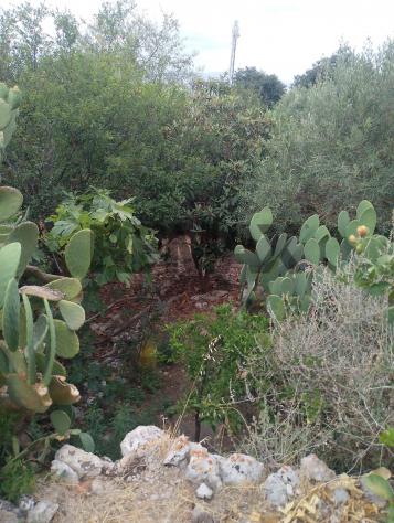 Terreno in vendita a Siracusa, Belvedere - Foto 7
