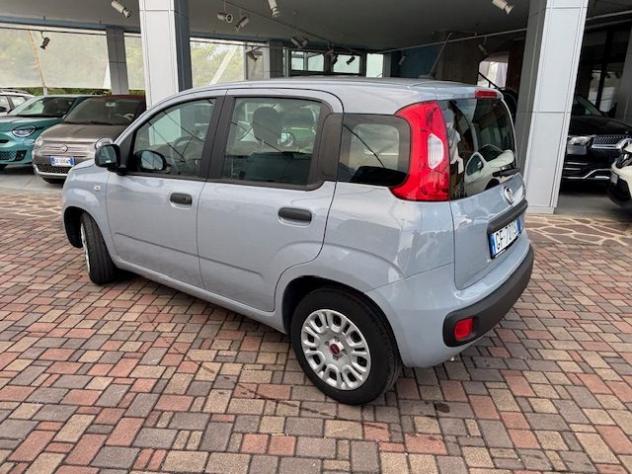 FIAT Panda 1.0 FireFly S&S Hybrid rif. 24163427 - Foto 7